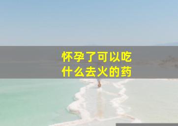 怀孕了可以吃什么去火的药