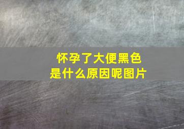 怀孕了大便黑色是什么原因呢图片