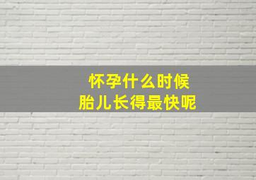 怀孕什么时候胎儿长得最快呢