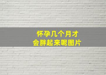 怀孕几个月才会胖起来呢图片