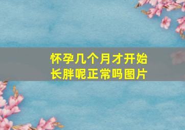 怀孕几个月才开始长胖呢正常吗图片