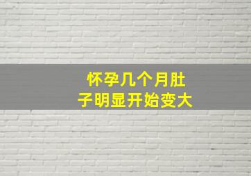 怀孕几个月肚子明显开始变大