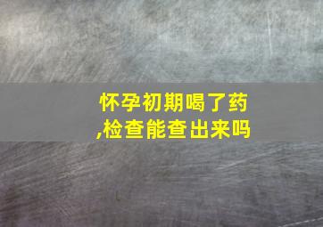 怀孕初期喝了药,检查能查出来吗