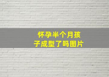 怀孕半个月孩子成型了吗图片