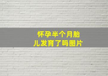 怀孕半个月胎儿发育了吗图片