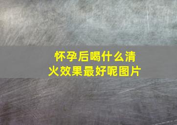 怀孕后喝什么清火效果最好呢图片