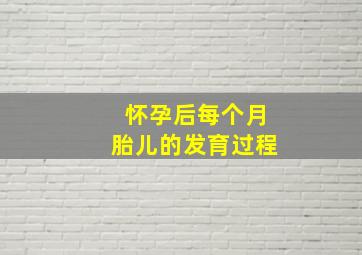 怀孕后每个月胎儿的发育过程