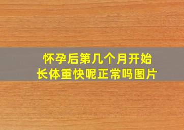 怀孕后第几个月开始长体重快呢正常吗图片