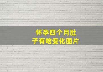 怀孕四个月肚子有啥变化图片