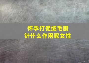 怀孕打促绒毛膜针什么作用呢女性