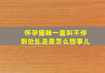 怀孕猫咪一直叫不停到处乱走是怎么回事儿