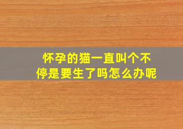 怀孕的猫一直叫个不停是要生了吗怎么办呢