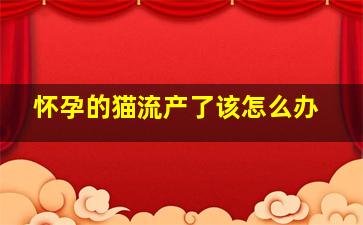 怀孕的猫流产了该怎么办