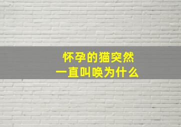 怀孕的猫突然一直叫唤为什么