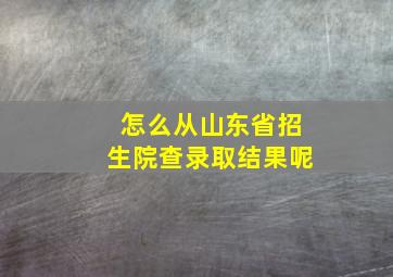 怎么从山东省招生院查录取结果呢