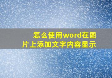 怎么使用word在图片上添加文字内容显示