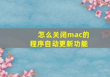 怎么关闭mac的程序自动更新功能