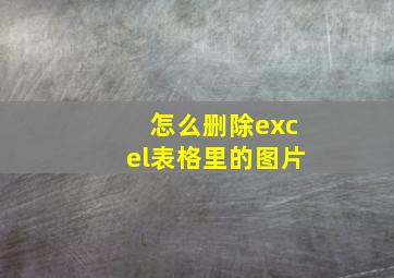 怎么删除excel表格里的图片