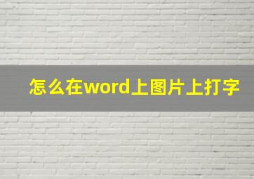 怎么在word上图片上打字