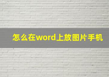 怎么在word上放图片手机