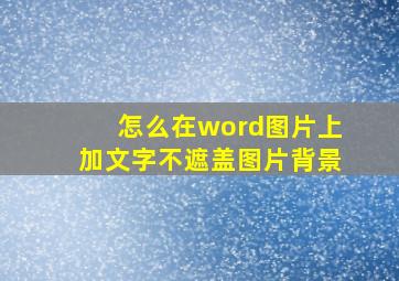 怎么在word图片上加文字不遮盖图片背景