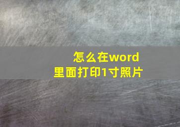 怎么在word里面打印1寸照片