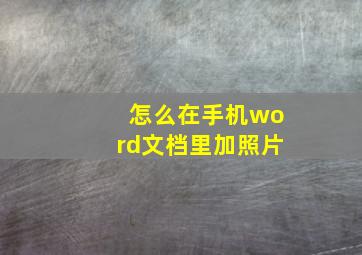 怎么在手机word文档里加照片