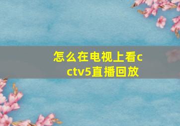 怎么在电视上看cctv5直播回放