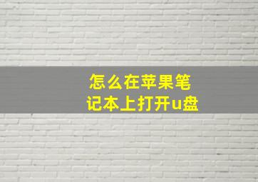 怎么在苹果笔记本上打开u盘