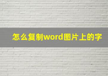 怎么复制word图片上的字