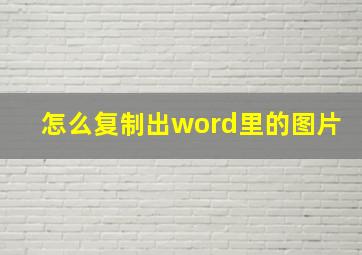 怎么复制出word里的图片