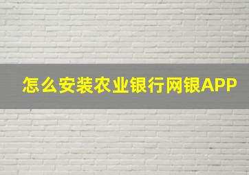 怎么安装农业银行网银APP