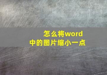 怎么将word中的图片缩小一点