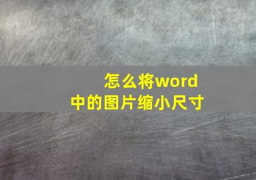 怎么将word中的图片缩小尺寸