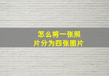 怎么将一张照片分为四张图片