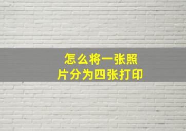 怎么将一张照片分为四张打印