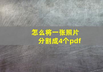 怎么将一张照片分割成4个pdf