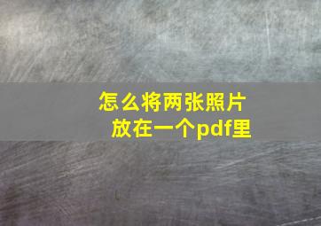 怎么将两张照片放在一个pdf里