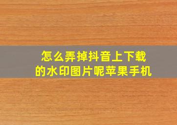 怎么弄掉抖音上下载的水印图片呢苹果手机