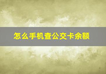 怎么手机查公交卡余额