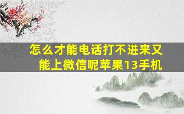 怎么才能电话打不进来又能上微信呢苹果13手机