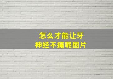 怎么才能让牙神经不痛呢图片