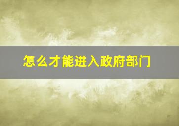 怎么才能进入政府部门