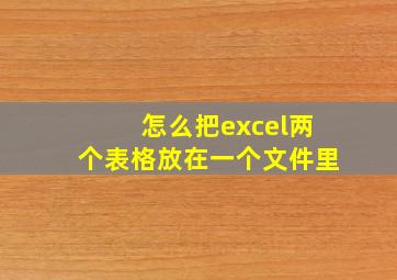 怎么把excel两个表格放在一个文件里