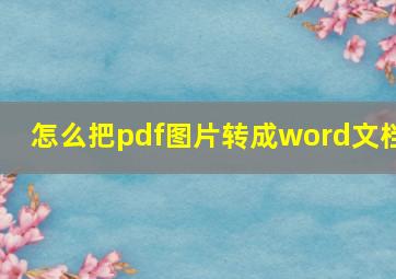 怎么把pdf图片转成word文档