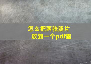 怎么把两张照片放到一个pdf里