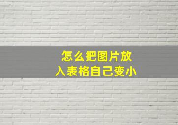 怎么把图片放入表格自己变小