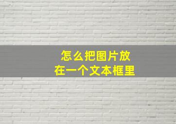 怎么把图片放在一个文本框里