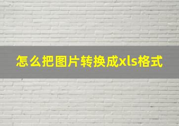 怎么把图片转换成xls格式