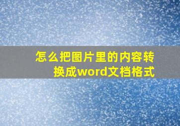 怎么把图片里的内容转换成word文档格式